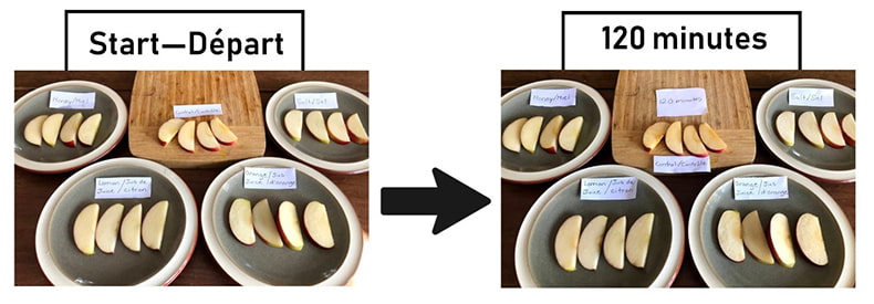 Two side-by-side images show what happens to sliced apples over time; the images are separated by a large black arrow. On each image, there are four plates and a cutting board, each lined with four apple slices. The word “Start” is written above the first image, and “120 minutes” is written above the second image.