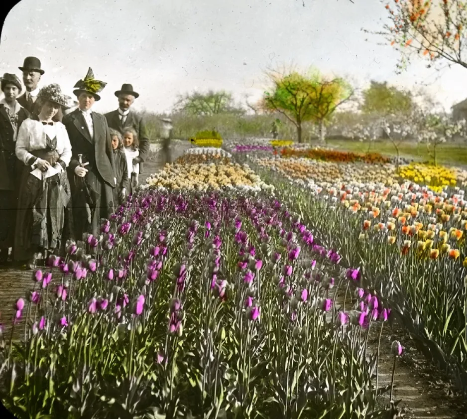 People posing for a picture in front of the tulip garden at the Central Experimental Farm. Date unknown.