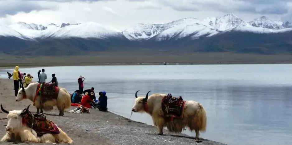 Lac Namtso au Tibet