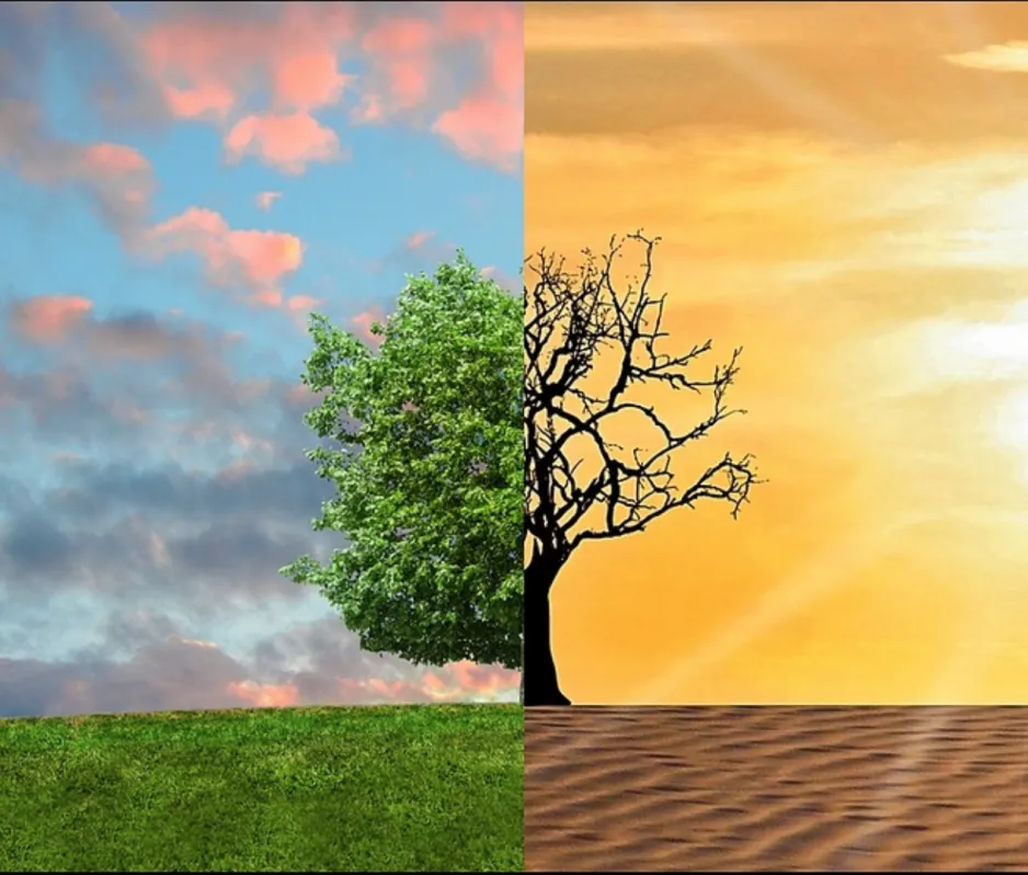 A two-sided image, showing a lush green tree and grass on one side, and a barren tree with scorching hot sand on the other side.