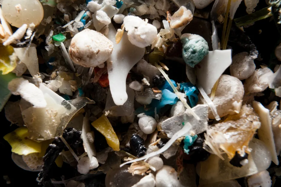 A pile of microplastics filtered from seawater.