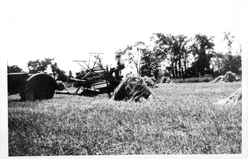 A black and white photo of a hay binder harvesting hay from a field.