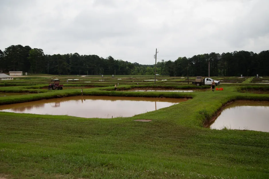 De grands étangs rectangulaires sont bordés de verdure; des arbres se dressent à l’arrière-plan. On aperçoit plusieurs personnes et véhicules agricoles entre les étangs.