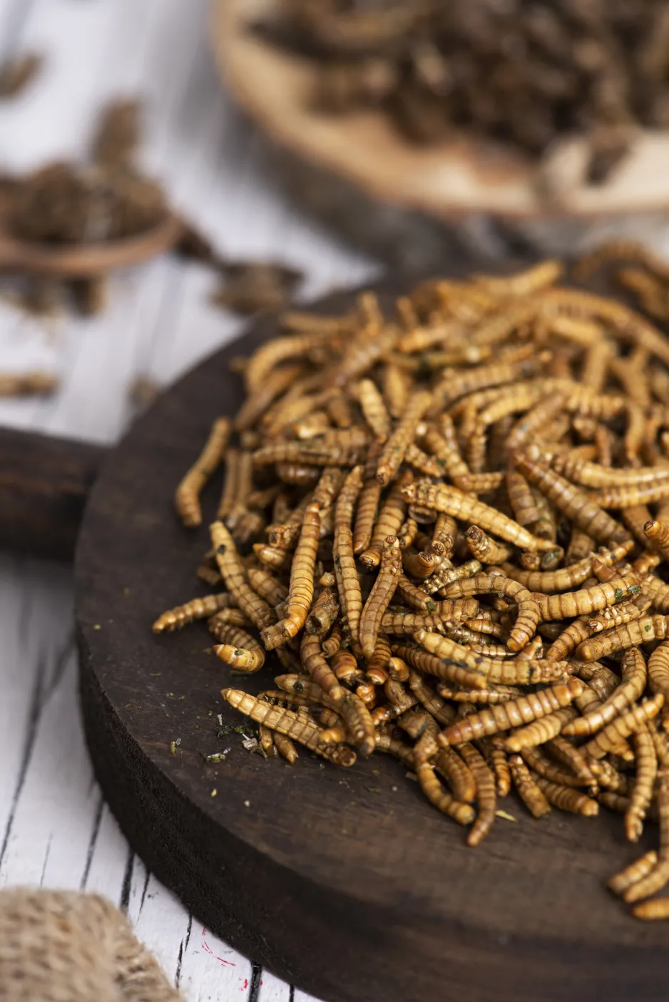 A pile of dried mealworms presented on a round wooden platter 