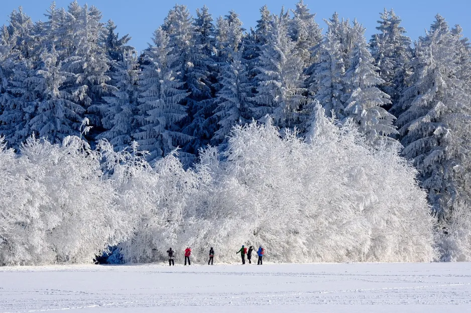 Six personnes profitent d’une randonnée hivernale sur un lac gelé, entourées d’un paysage enneigé et immaculé. Une forêt couverte de givre en toile de fond ajoute un côté pittoresque à la scène en venant rehausser l’atmosphère sereine et hivernale.