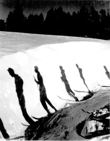 Shadows of skiiers on snow.