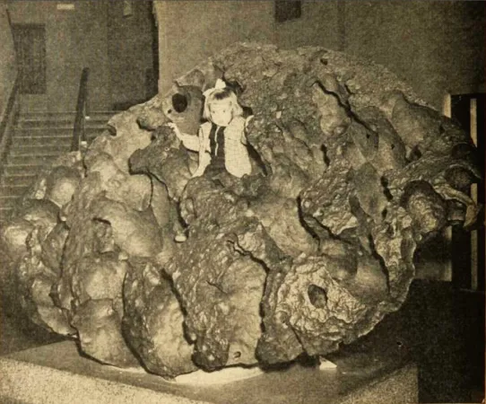 Tomanowos, mieux connue sous le nom de météorite Willamette, American Museum of Natural History, New York, New York. Anon., « Ça et là, par l’image. » Le Samedi, 22 février 1947, 8.