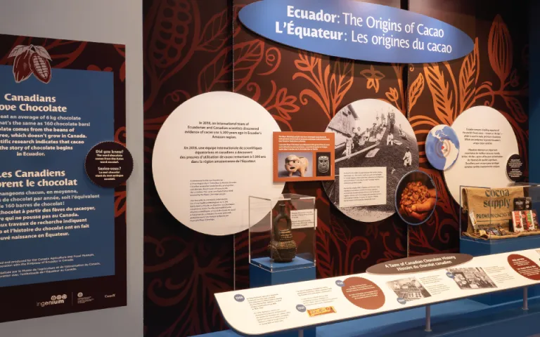 A side angled view of the Origins of Cacao display.
