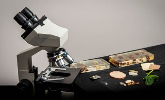 microscope and slides