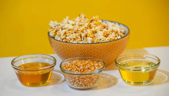 A large bowl of honey popcorn sits against a yellow wall. Three small bowls are arranged in front of it, containing honey, popcorn seeds, and canola oil.