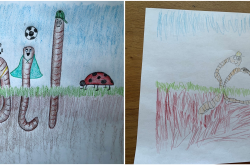 A splice image of two drawings of four earthworms characters coming out of the dirt.  There bodies are drawn so they form the word soil.