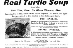 Une publicité typique de T.K. Bellis Turtle Company Limited. Anon., “T.K. Bellis Turtle Company Limited.” The Graphic, 8 janvier 1898, 64.