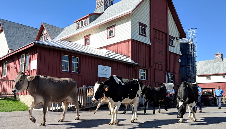 lancaster dairy farm tour