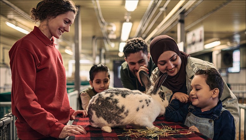 A family of museum visitors interact with a staff member and a rabbit.