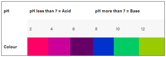 red cabbage indicator ph scale