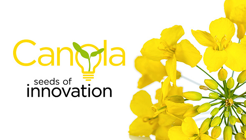Learn more about the Canola exhibition at the Canada Agriculture and Food Museum