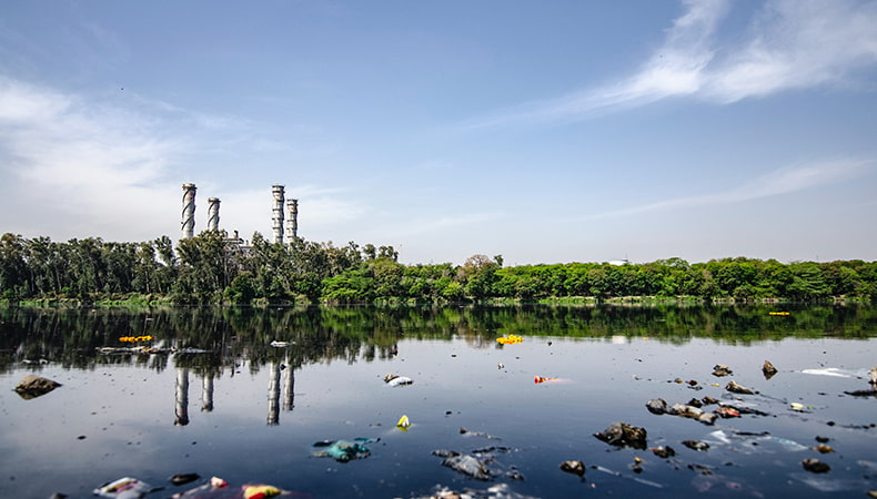 In the foreground garbage can be seen floating on calm water. The background is a green forest at the water's edge.
