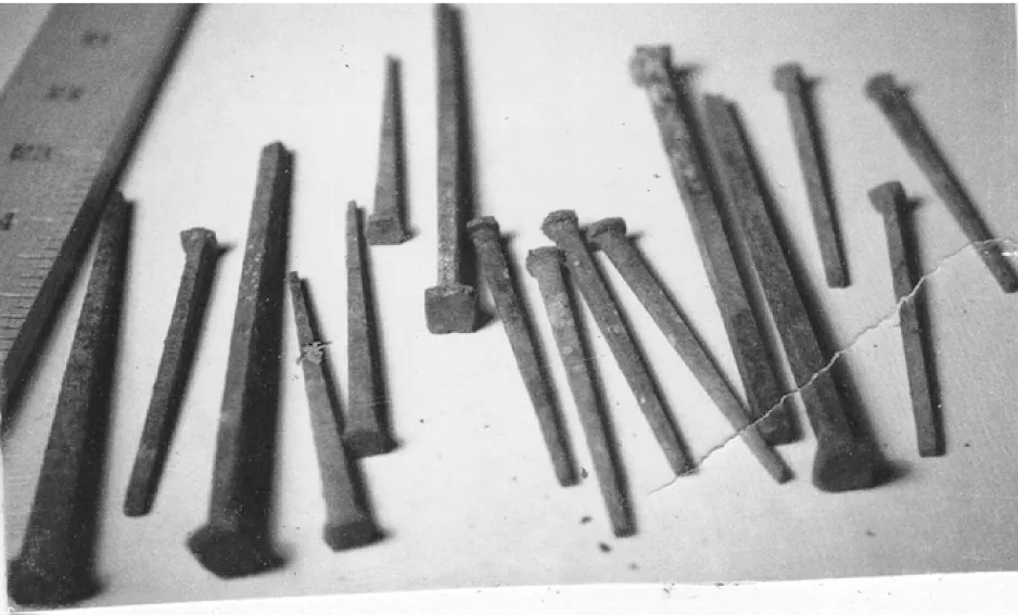 A black-and-white image depicts cut nails of different sizes, lying on a flat surface.]