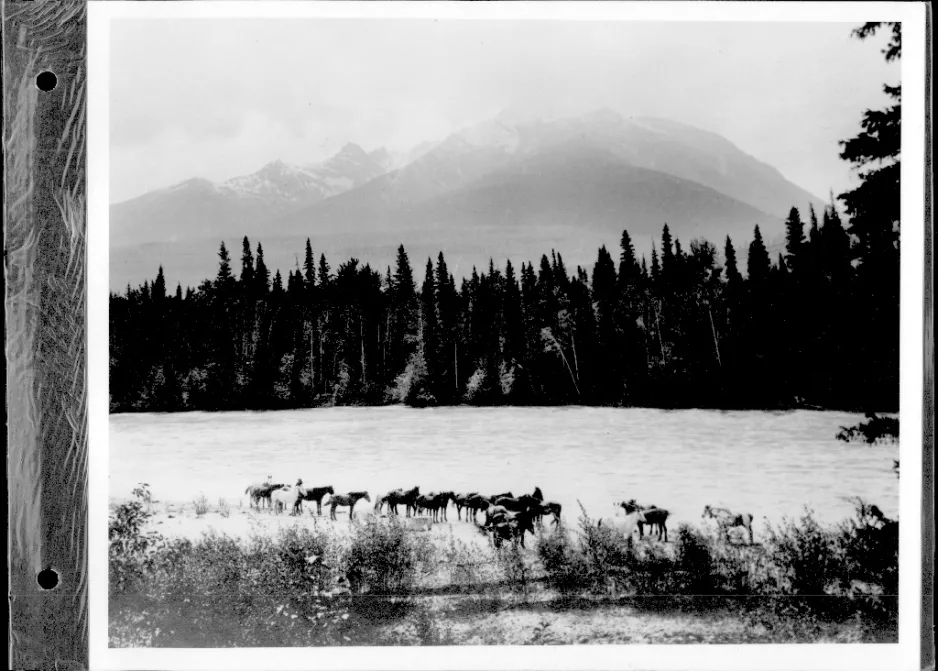 Shore scene with horses at Tete Jaune Cache, B.C. about 1913