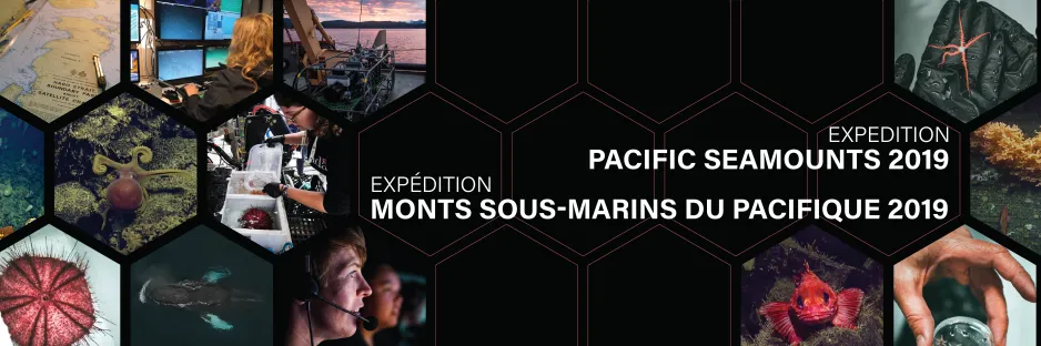 Pacific Seamounts 2019