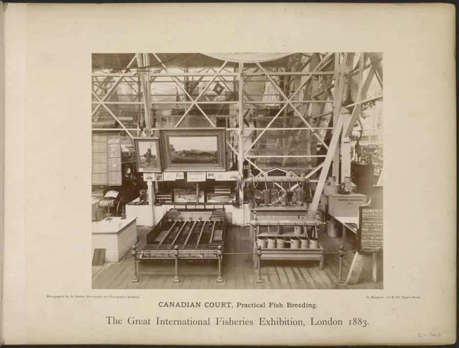 Display of Canadian fish-culture technology by Samuel Wilmot at the London Fisheries Exhibition in 1883