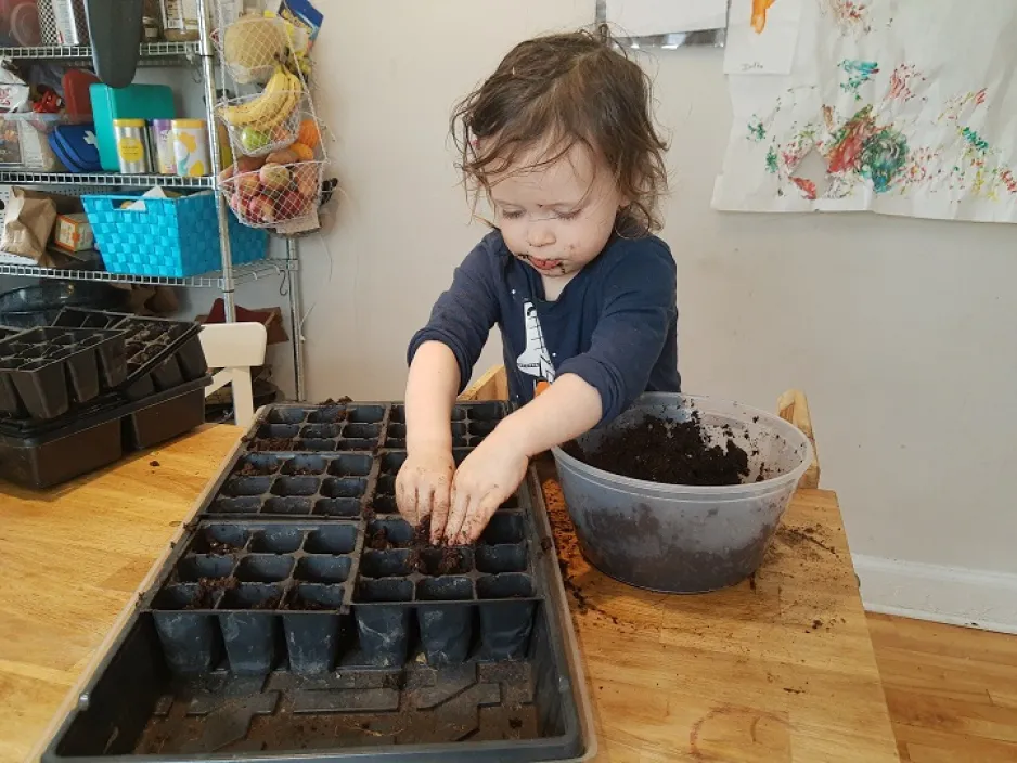 Child adds soil to tray