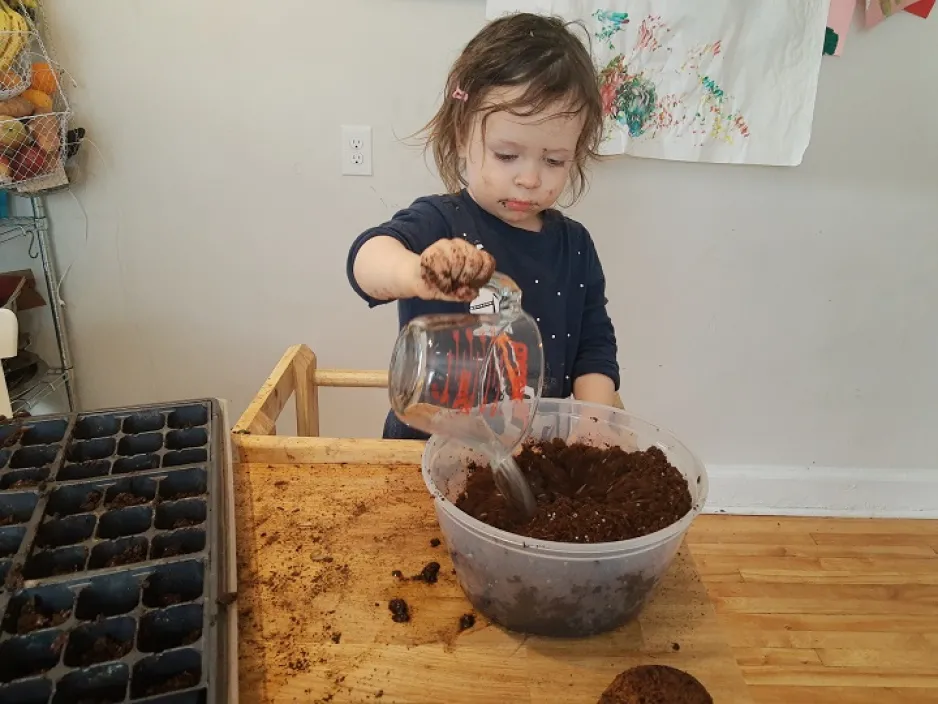 Child pouring water into soil