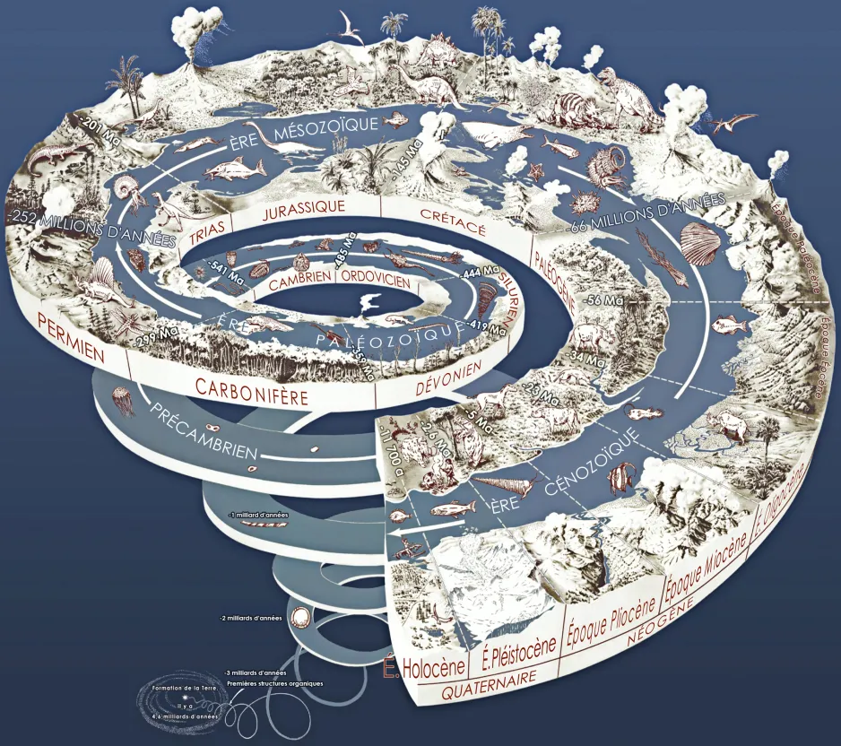 Une image graphique représentant une spirale descendante remplie d’espèces de la flore et de la faune. Plus on descend dans le temps, plus elle est clairsemée.