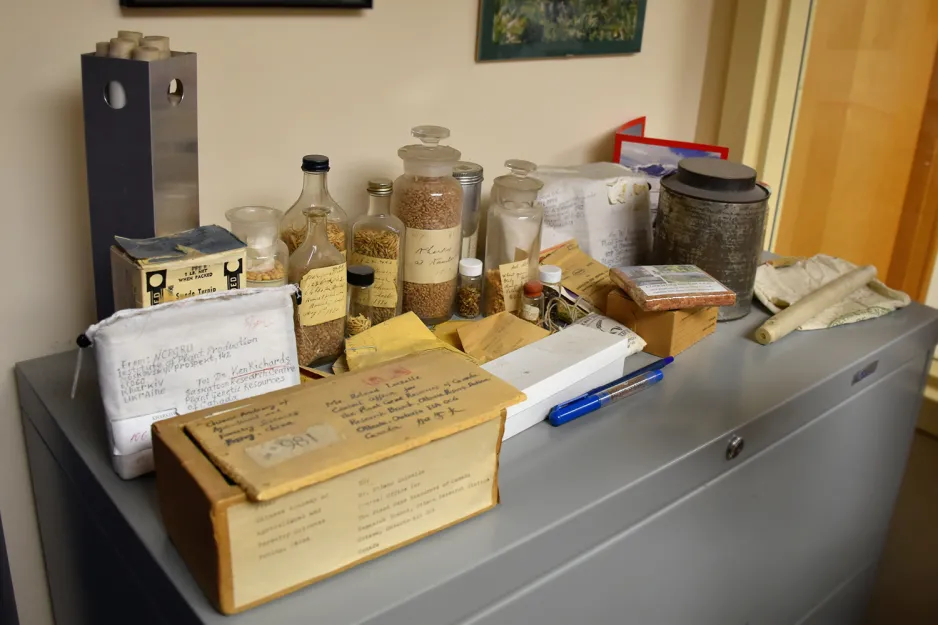 A photo of an assortment of seed packaging, such as a wooden box, a fabric pouch, glass bottles, and a metal canister, on top of a filing cabinet. 