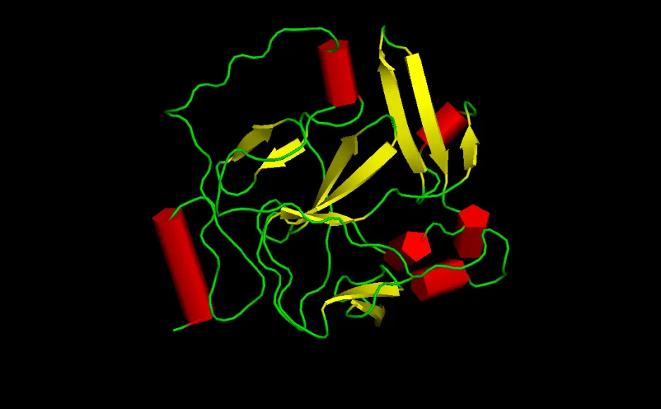 Rendu artistique d’une protéine repliée, représentée par des lignes courbes, des tubes et des flèches.