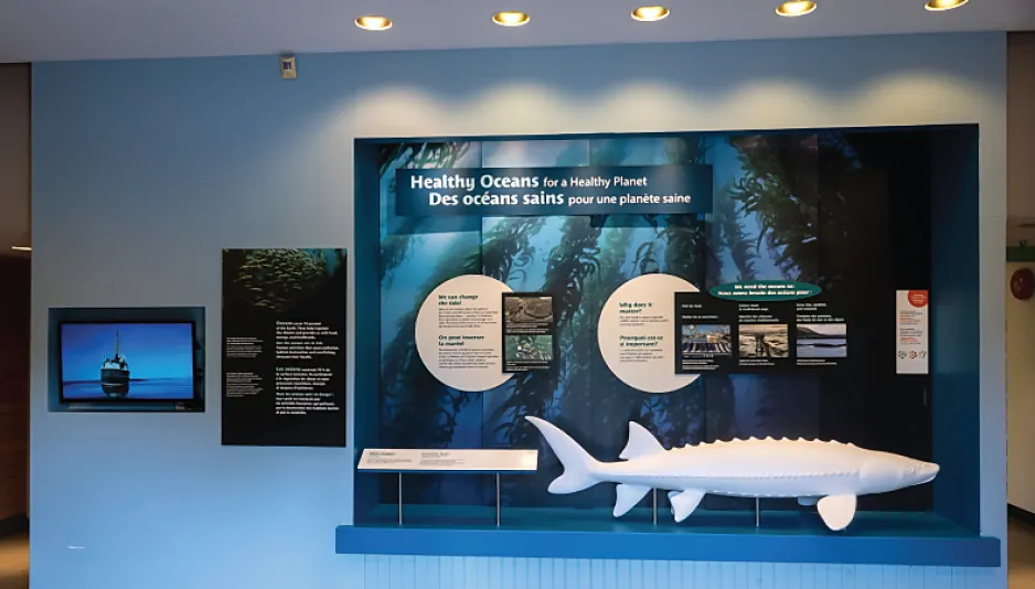 A wide shot of the Healthy Oceans for a Healthy Planet exhibit. The colour theme is blue and a large 3D model of a fish is visible at the bottom of the display.