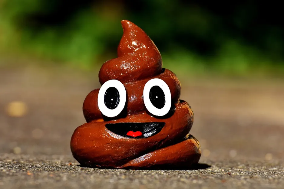 A 3D model of a smiling poop emoji sits on pavement.