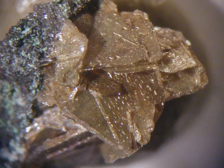 Close-up of pointy beige abhurite crystals growing out of tin metal.