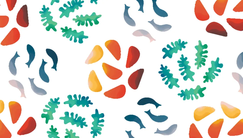 A colourful illustration depicts groupings of stylized outlines of fish, shellfish, and seaweed on a white background.