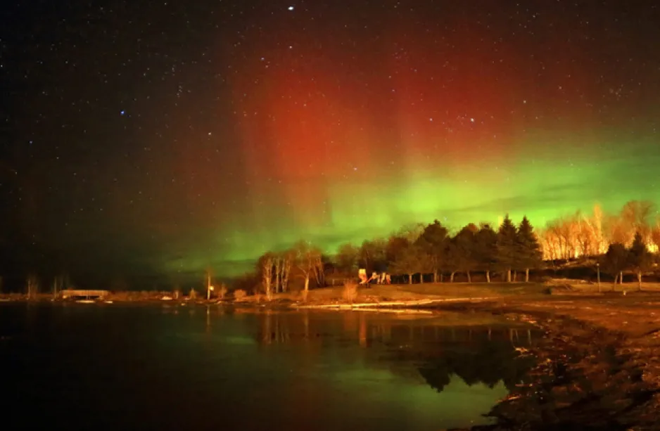 A wispy curtain of bright green and red coloured aurora in a dark sky light up a forested peninsula and beach.