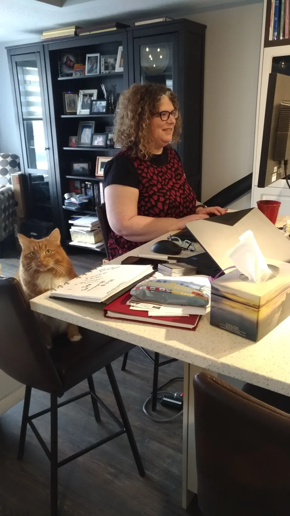 Image is a photograph of a woman sitting at a kitchen island, where her computer is set up. A cat sits on the chair beside her. 