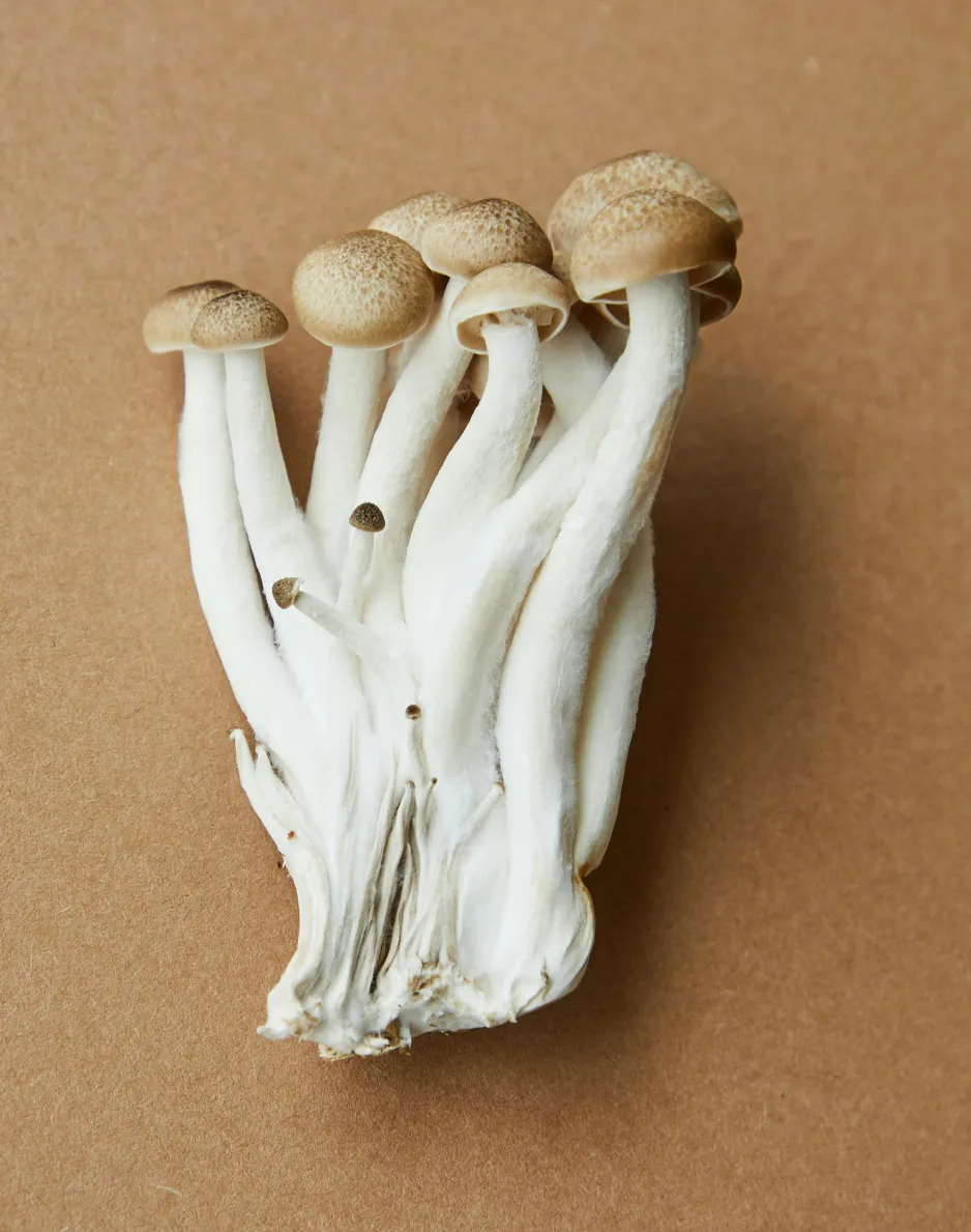 A cluster of fresh, uncooked mushrooms on a brown surface