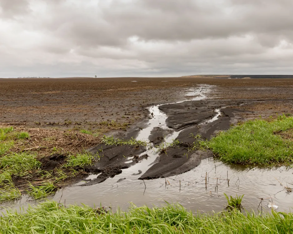 On a grey day, a wet, uncovered field extends to the horizon. Streams of water extend from the back of the field to a grassy ditch in the foreground. 
