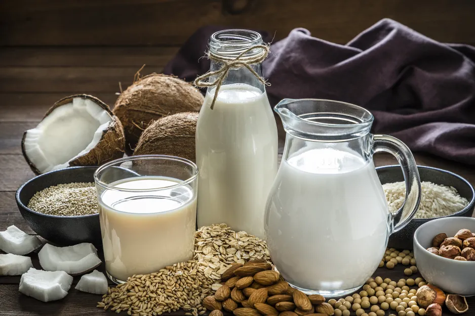 A drinking glass, a milk jar, and a pitcher, all filled with white liquids grouped together in the centre of the image, surrounded by, clockwise right to left, rice, hazelnuts, soybeans, almonds, oats, barley, millet, and coconut.