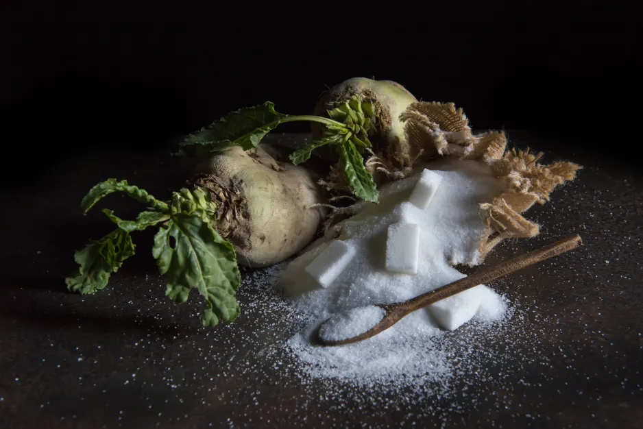 Two sugar beets and a pile of white sugar and sugar cubes are laid out on a dark surface. 