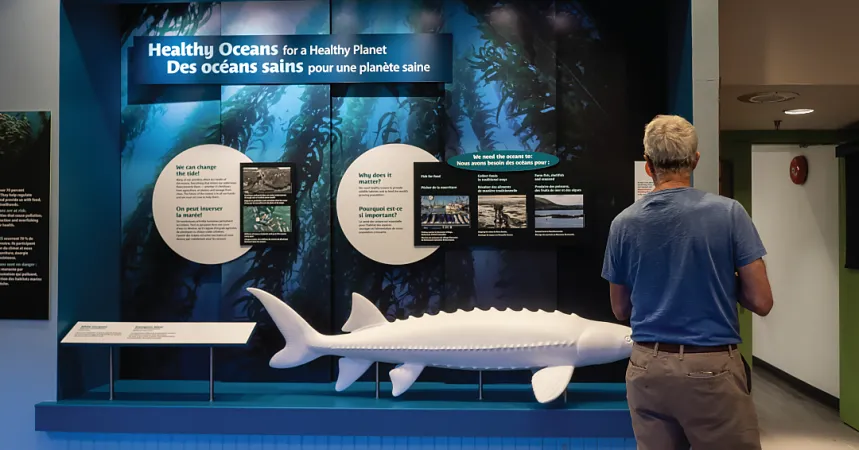 A wide shot of a man standing in front of the Healthy Oceans for a Healthy Planet exhibit.