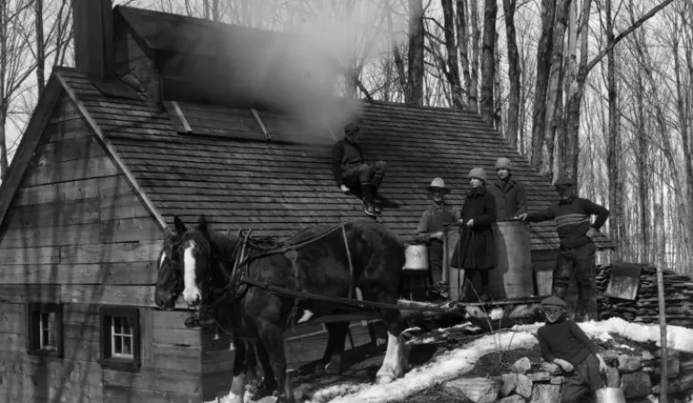 Collecting maple sap in Saint-Hilaire, Quebec, 1926. Source: Library and Archives Canada/e010860378