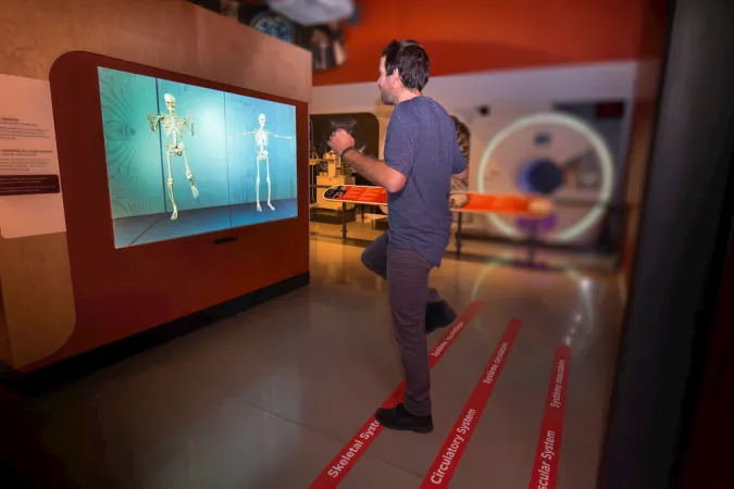 Person interacting in the Medical Sensations exhibition