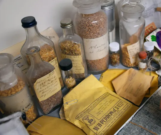 A close-up photo of a grouping of glass bottles with handwritten labels, and filled with grain seeds. Small, printed yellow paper envelopes are laid out in front of the bottles.