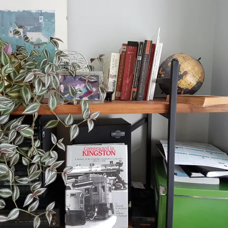 Cadrage serré d’une étagère de bibliothèque encombrée d’une plante, de photographies, d’un haut-parleur, avec quelques livres visibles sur d’autres étagères de ce meuble. 