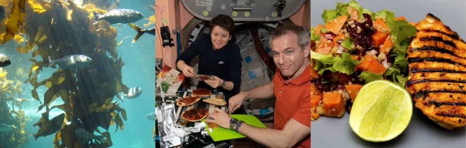 Trois images, côte-à-côte, de gauche à droite: du varech sous l'eau, des astronautes assis à table sur la station spatiale internationale, et une assiette contenant du poulet et une salade.