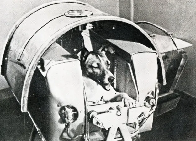 What Happened To Laika, The First Space Dog — A Sacrifice To