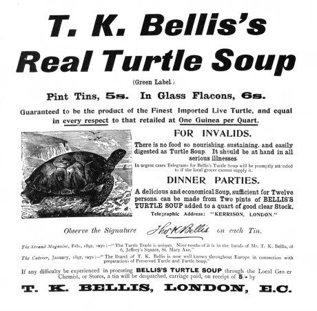Une publicité typique de T.K. Bellis Turtle Company Limited. Anon., “T.K. Bellis Turtle Company Limited.” The Graphic, 8 janvier 1898, 64.