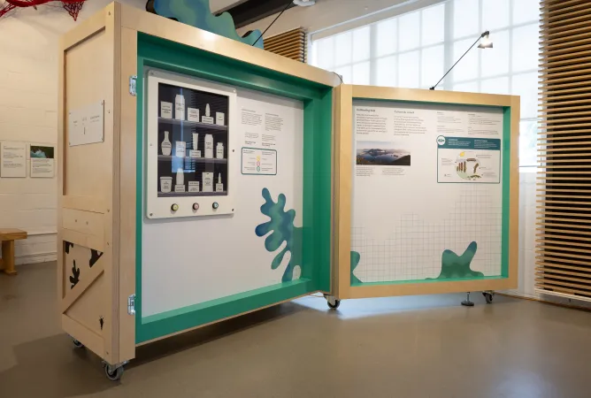 Un module d’exposition vu de biais; il est décoré de motifs d’algues stylisées, et on y voit un panneau interactif avec des boutons.
