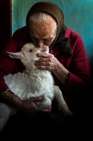 An old woman dressed in red kisses a baby goat in her lap. 